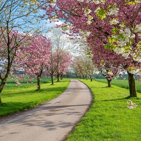 Ferienhaus Blacksmith's Shop York